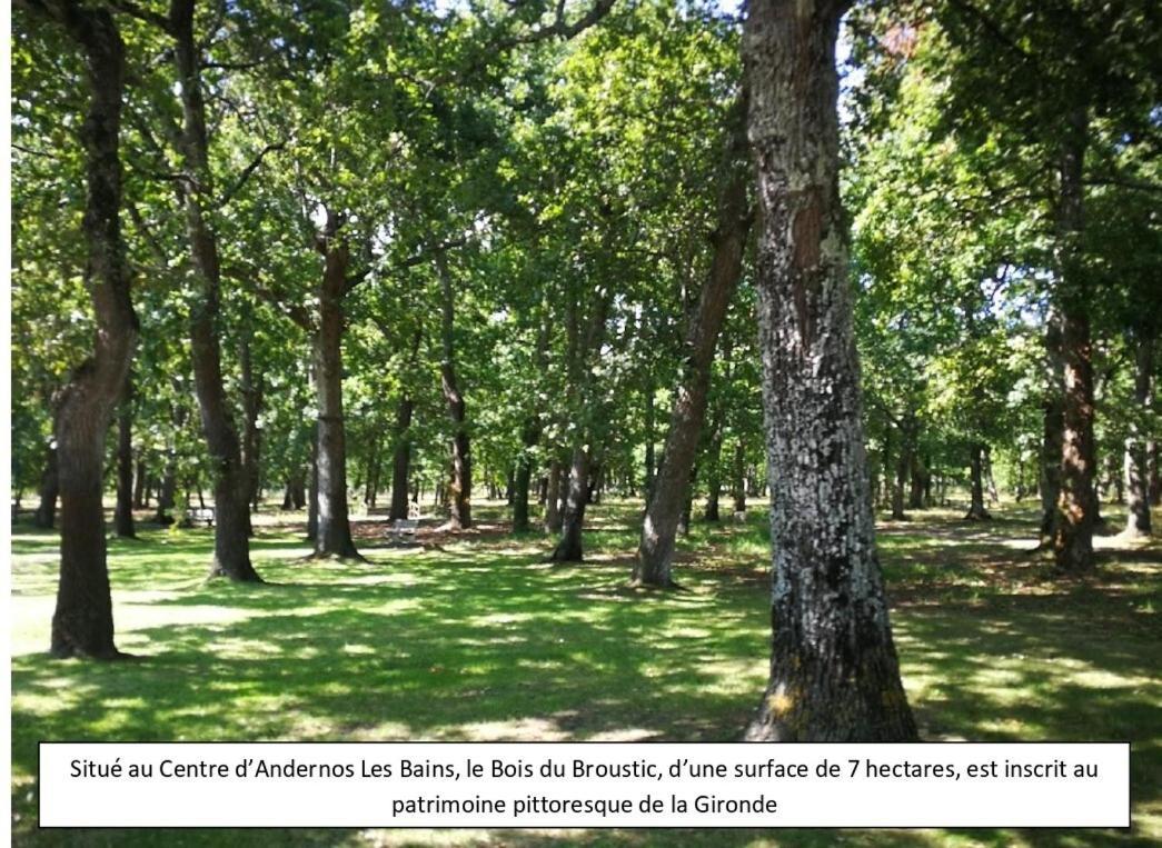 Maison Sarah Bernhardt Tout Confort Andernos-les-Bains Exteriör bild